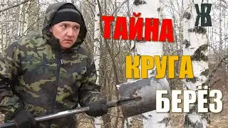 Посадил 67 берез. Живая беседка или что-то еще? ЖКВ в деревне. Посадка деревьев весной своими руками
