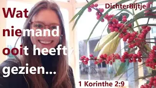 DichterBijtje - Wat niemand ooit heeft gezien