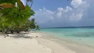 Sunny Day Vibes: Tropical Escape