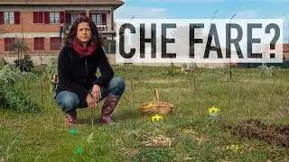LUMACHE NELL'ORTO. COSA FARE? RIMEDI E CONSIGLI