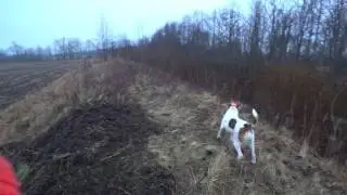 Охота 