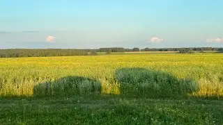 ОМСК👉🏻НОВОСИБИРСК 