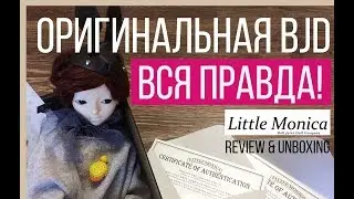 Little Monica BJD Unboxing and Review