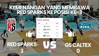 [FAN CAM] Mega Bawa Redsparks Menang 3-0 vs GS Caltex!!! MENYALA MEGATRON!!! 🔥🇮🇩