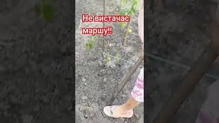 23 серпня 2024 р.