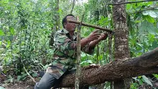 Create amazing wood trap to catch Squirrel well