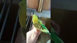 Taking shower ) So cute 🥰