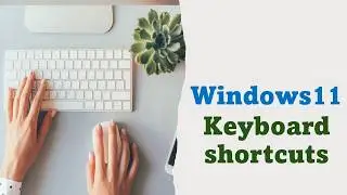 Windows 11 essential keyboard shortcuts