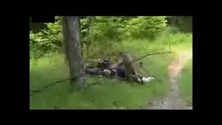 Deer attacks fat guy