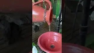 Florianópolis Brasil 🇧🇷 | Флорианополис Бразилия | Florianopolis Brazil