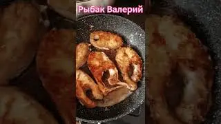 Готовлю кету (продолжение)🐟🐠
