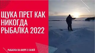 РЫБАЛКА 2022. ЩУКА ПРЕТ. РЫБАЛКА НА АМУРЕ НА МАХАЛКУ ЗИМНЯЯ РЫБАЛКА