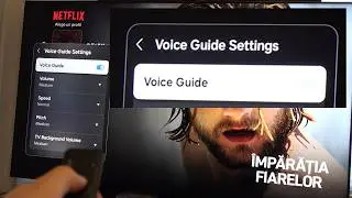 How to turn off Voice Guide on Samsung Smart TV