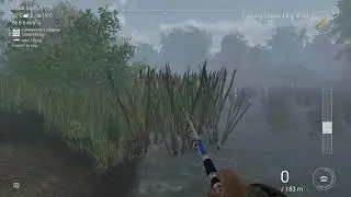Fishing Planet - Shore Weeds - complete