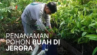 MENINGKATKAN KEANEKARAGAMAN HAYATI DIKAWASAN SEKOLAH HUTAN JERORA!