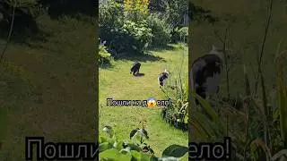 29 июля 2024 г.