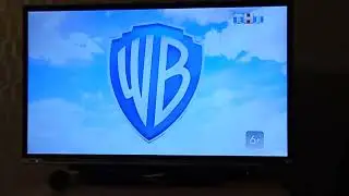 Заставка WB/WAG (2021)