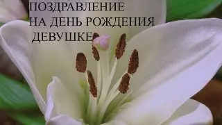 Поздравление на день рождения 🍰🌺😍