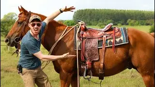 How To Bring An Old Cheap Saddle Back To Life! SADDLE RESTORATION!