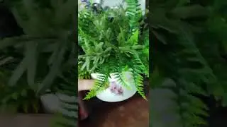 O QUE FAZER COM LOUÇAS ANTIGAS?