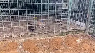 Вольер для щенков. Как сделать вольер?
