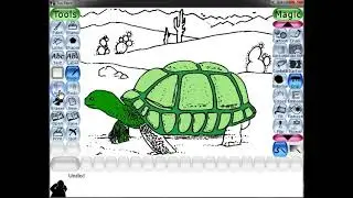 Create tortoise  1