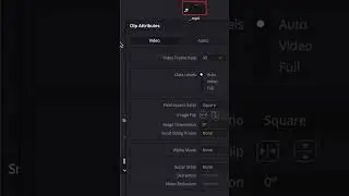 Adjusting Clip Frame Rate in DaVinci Resolve • How to Change the Frame Rate of a Clip in Resolve 19