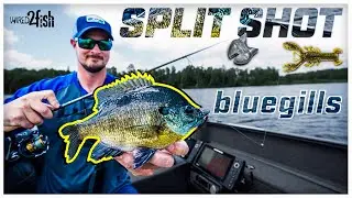 How to Catch Bluegills with the Split Shot Rig