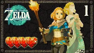 Zelda: Tears of the Kingdom #1 [NS] - 100%  Normal Mode /All Shrines, Quests, Items and Bosses (4❤)