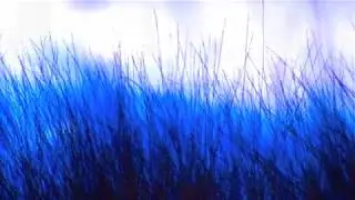 Nikki Kavanagh - Sacred Fortune (Eurovision Pre-selection Ireland 2010)