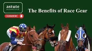 The Benefits Of Race Gear