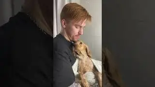 КУПАНИЕ ДЛЯ ЦАРИЦЫ 🐕