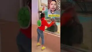 Tarian lucu penggoda GORILLA 