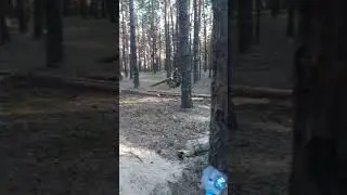 тест-драйв электро мотоцикла ВСУ