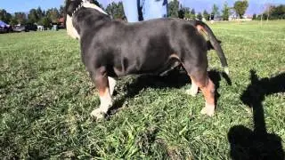 The Best Of Razor's Edge Part 1