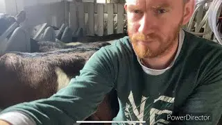 НА ДЕЛЕ ВСЁ НЕ ПРОСТО