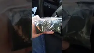 Шпак решает🧐🤣🤦‍♂️