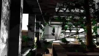 "Of Dancing Trees & Singing Birds" - The Futures Of 1000 Foodtrees