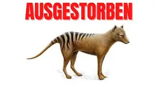 Seltene Aufnahmen ausgestorbener Tierarten