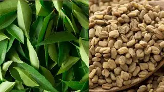 Hair Regrowth remedy | Curry leaves | करी पत्तों से पायें बालों की अनेक समस्याओं  का एक ही उपाय 🌿