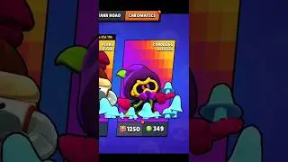 Did I waste my Chroma Credits?😭 