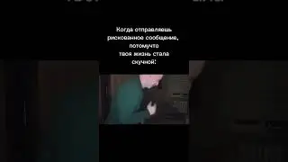 1 февраля 2024 г.