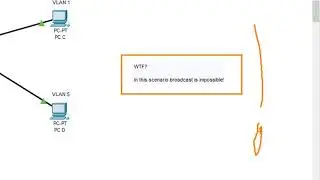 Native vlans  question and answer!