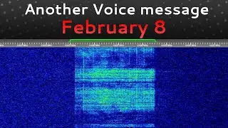 UVB-76 (The buzzer) Voice message 11:07 8.2.2025