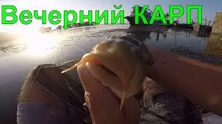 Рыбалка на Карпа(Сазана). Июль 2019. Поплавчанка