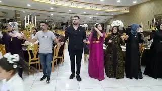 Hasan Çelik & Rojbin Abi. Kına Gecesi. Halay 2. 26.06.2024