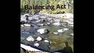 Balancing Act! #prospecting #chasinggold