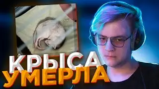 КРЫСКА УМЕРЛА l ПЯТЁРКА ПЛАЧЕТ ИЗ-ЗА КРОШКИ