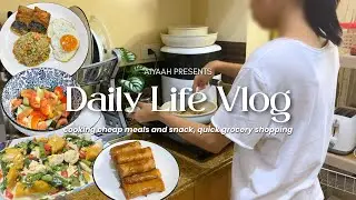daily vlog | cooking cheap meals and snack, quick grocery shopping