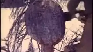 6 Один в Дикой Природе, зима, сугробы, обитатели леса